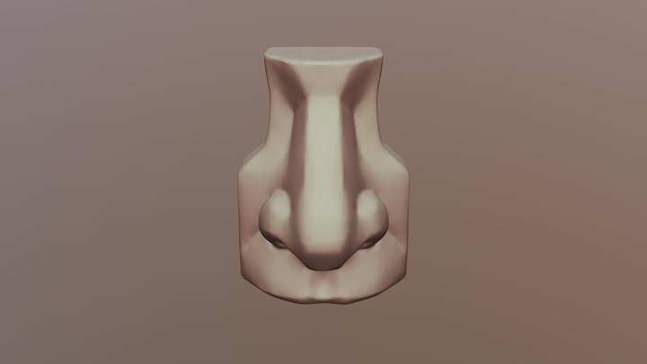Nose 3D Model