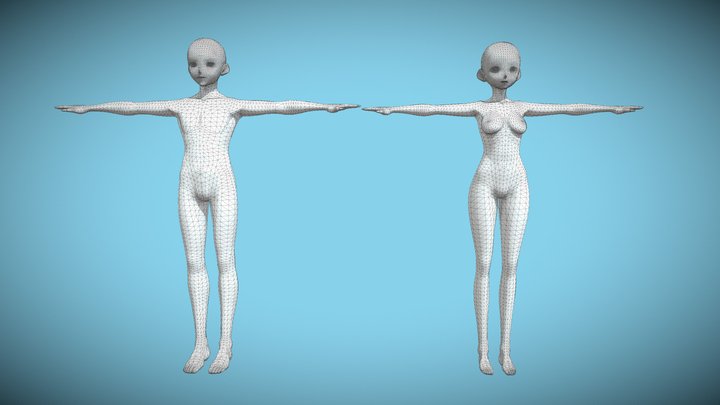 Anime male and female base meshes 3D Model