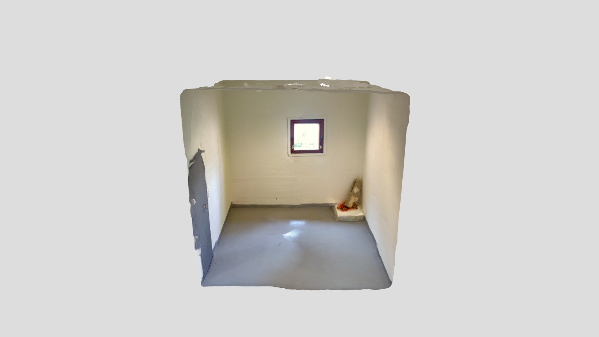 Polycam capture
