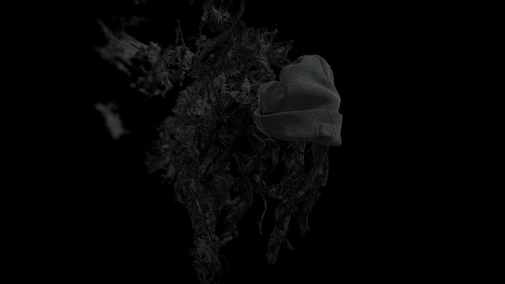 Saknys_kepure_sp_s - copy 3D Model