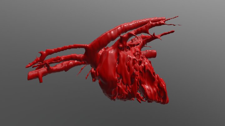 Canine Normal Heart -  Blood Volume 3D Model
