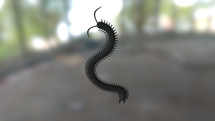 Centipede 3D Model