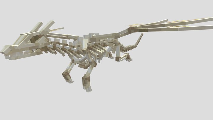 Skeleton Drgaon 3D Model