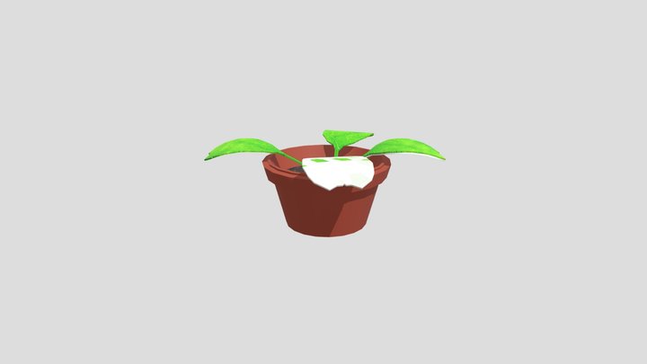 Plant 3D Model