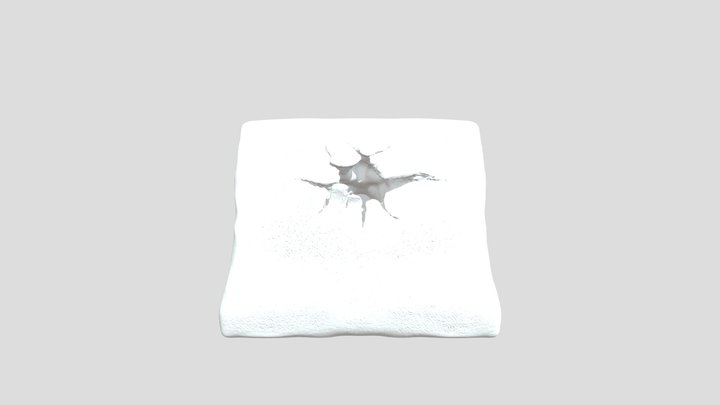 Wound Simulation 3D Model