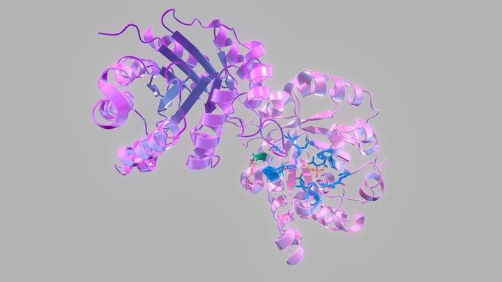 Homo sapiens Triosephosphate Isomerase 3D Model