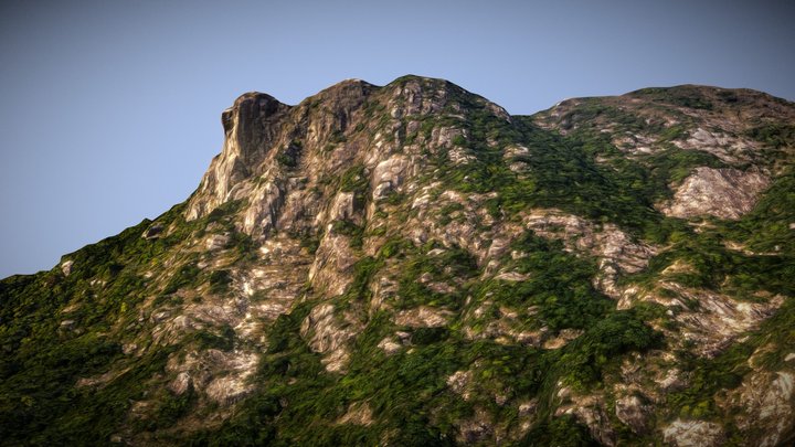 Lion Rock Scan 3D Model