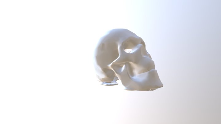 Human Skull - Schädel Von Rudi 3D Model
