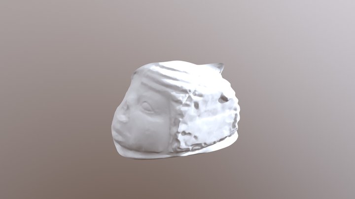 Head Of A Foreigner (edited) 3D Model