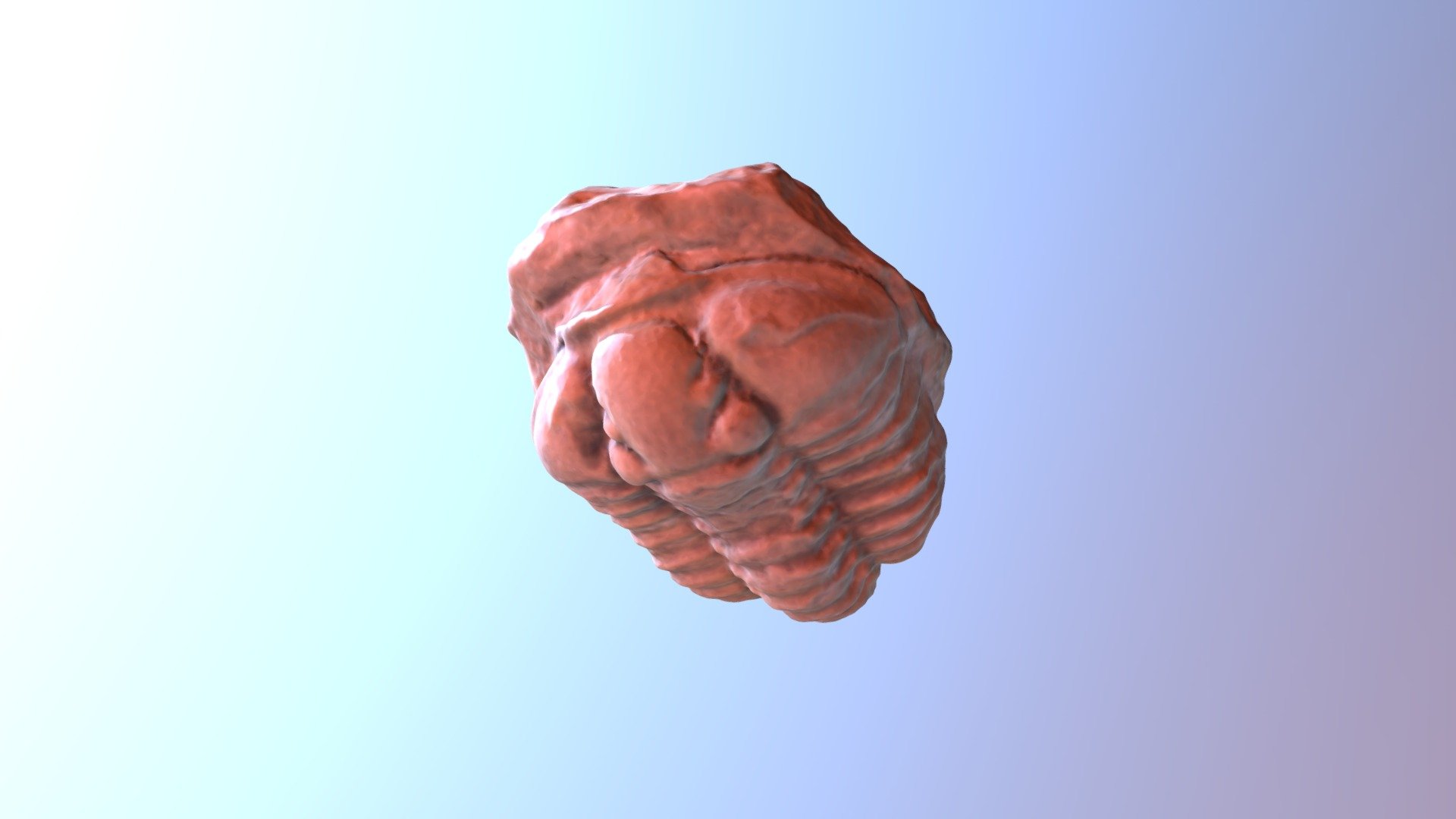 Trilobite - Printable