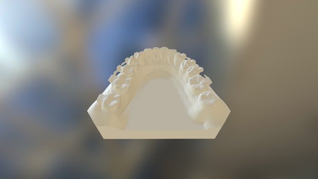 Lower Teeth 3D Model