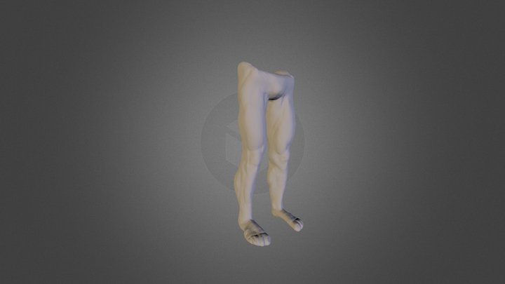 Legs First Pass 3D Model