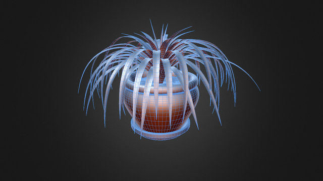 Chlorophytum 3D Model