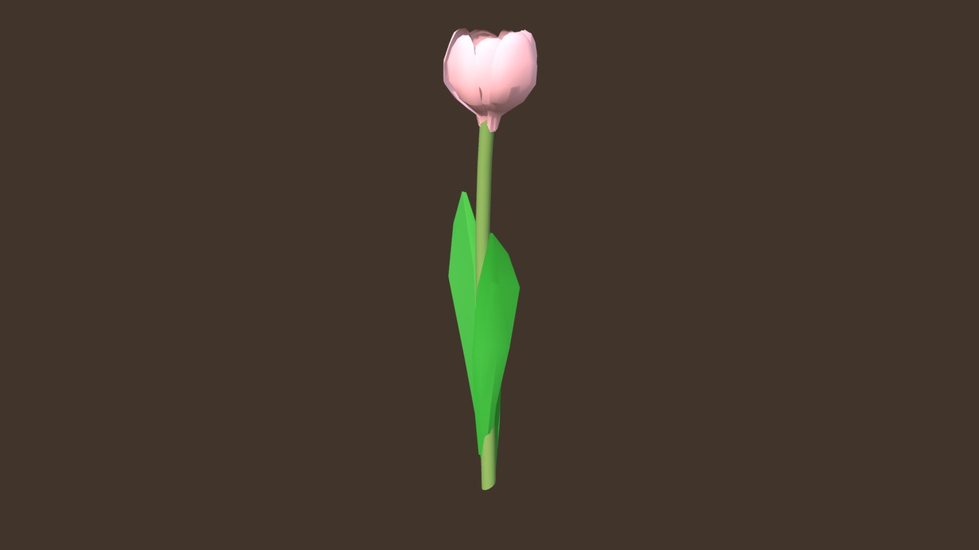 tulip