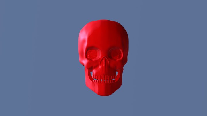 Human Skull 3D Model
