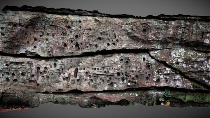 Ballochmyle Wall Rock Art, Ayrshire (2) 3D Model