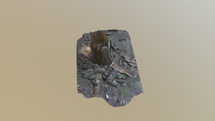 Low Sub Modelraw Scan1 3D Model
