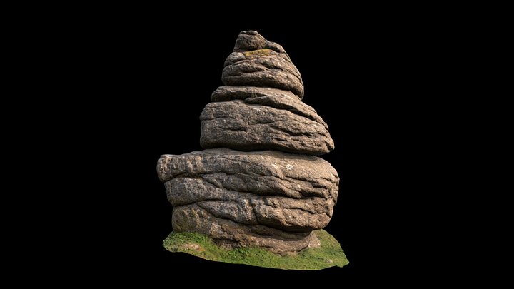 Dartmoor National Park Rock outcrop 2 - Devon UK 3D Model