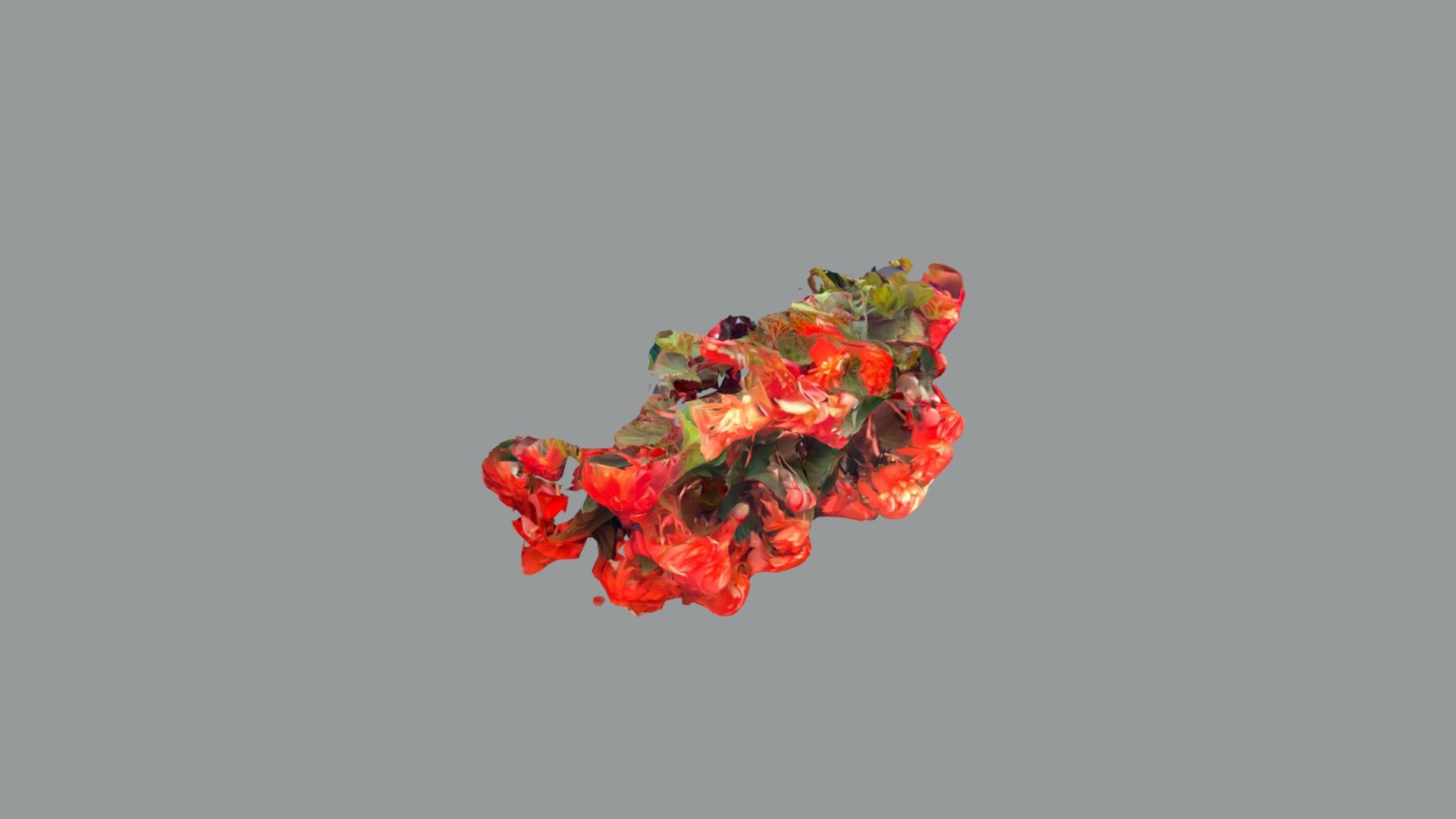 Flower 2