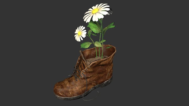 Daisies in a boot 3D Model