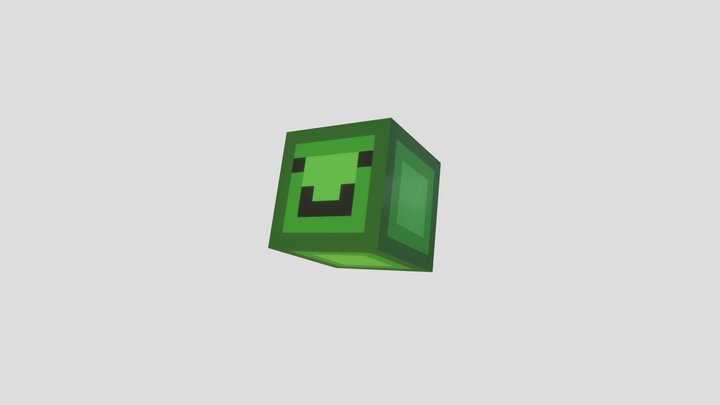 the head 3D Model