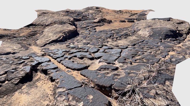 Ancient Lava flow  - San Cristobal Ranch, NM 3D Model