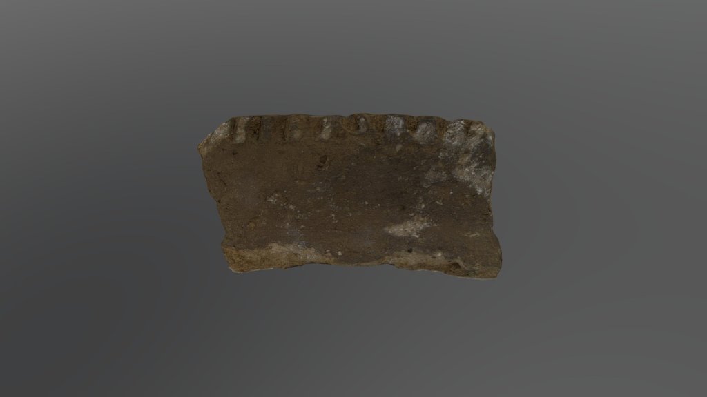 Mississippi Plain Rim Sherd Var. Nady