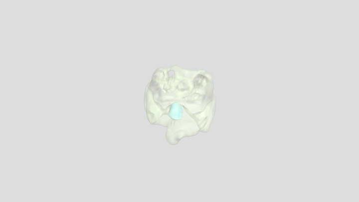 Segmentation 3D Model