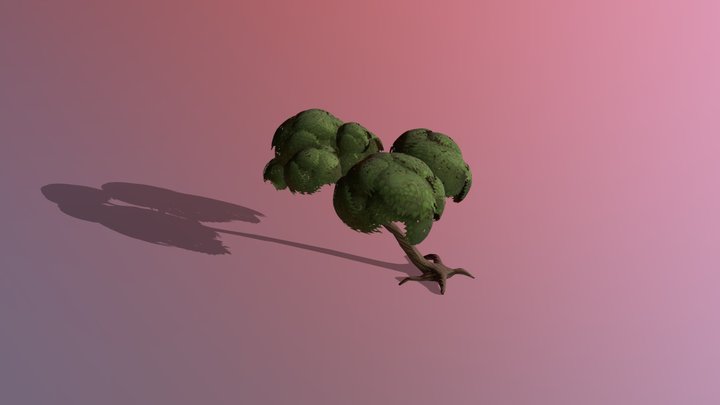 Young linden Tree 3D Model