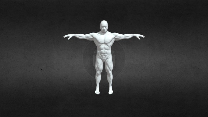 MuscleMan 3D Model
