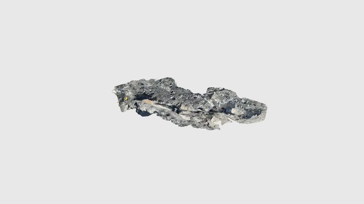 Fossil log 2 3D Model