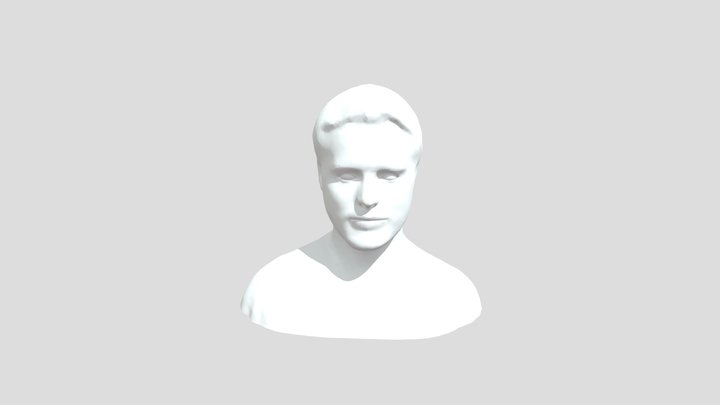 indian boy face 3D Model