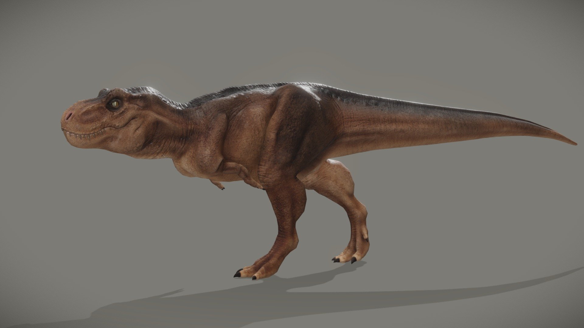 3D model Tyrannosaurus Rex Sue Real Dinosaur Series VR / AR / low-poly