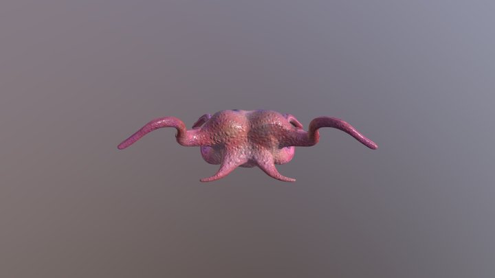 octopus 3D Model