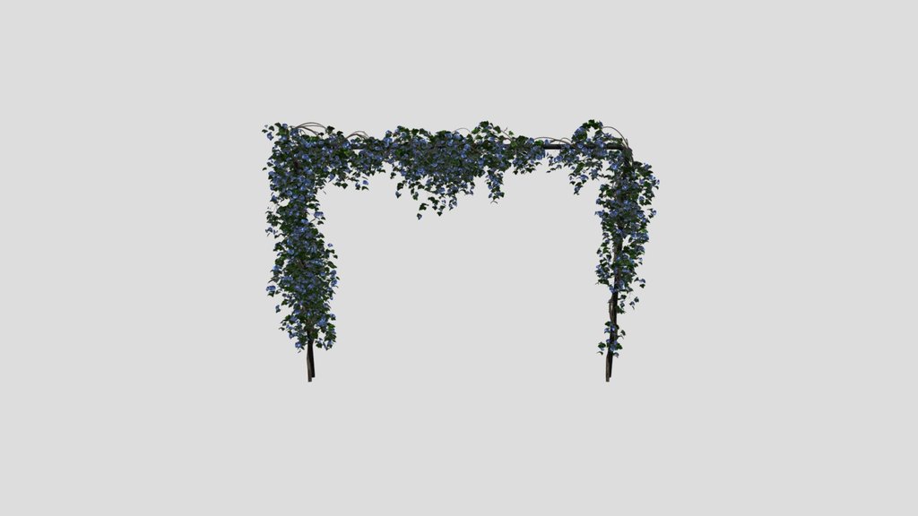 Simple Ivy Trellis Plant