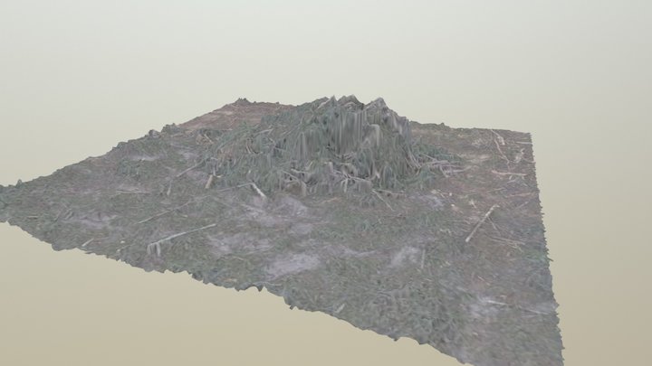 Résidus forestiers 3D Model
