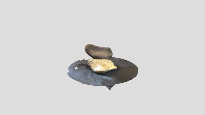 01 3D Model