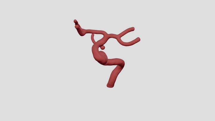 VXSF_direito 3D Model