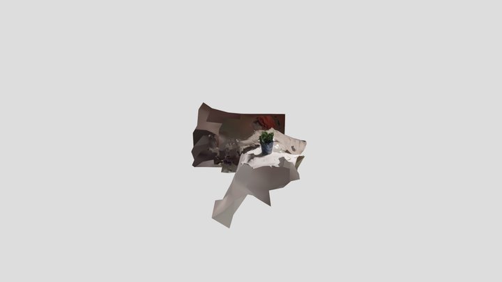 Plant 3 3D Model