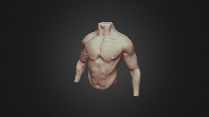 SCULPTJANUARY 03 - Chest - Body 3D Model