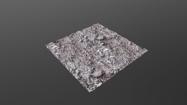 Oak Textured Plane 3D Model