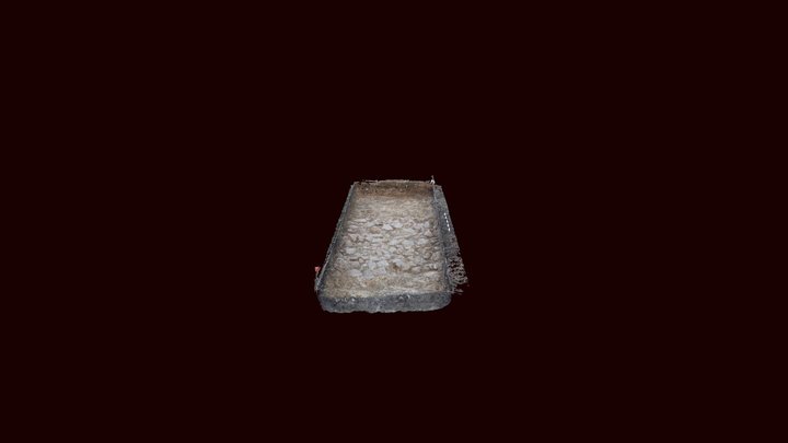 Pointcloudunifiedsimp 3D Model