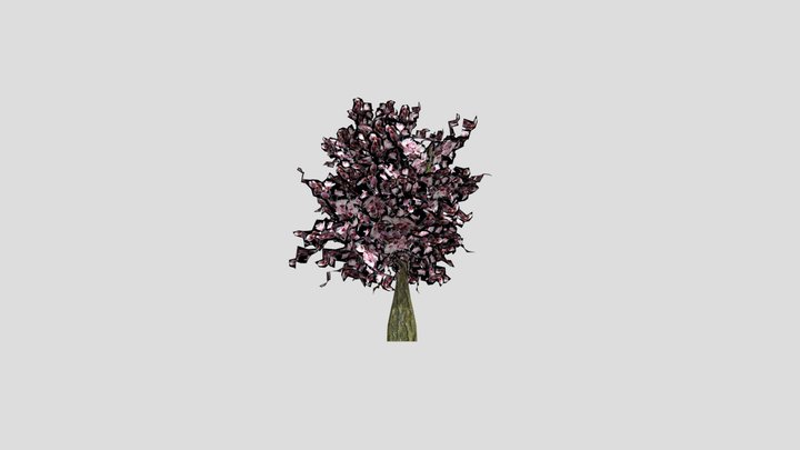 Sakura Tree 3D Model