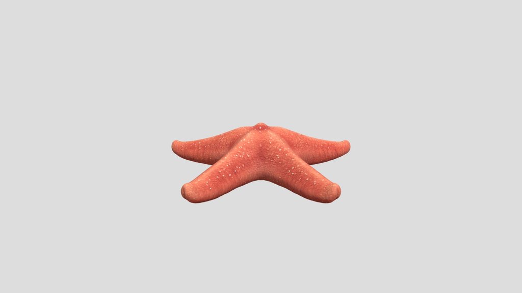 Starfish