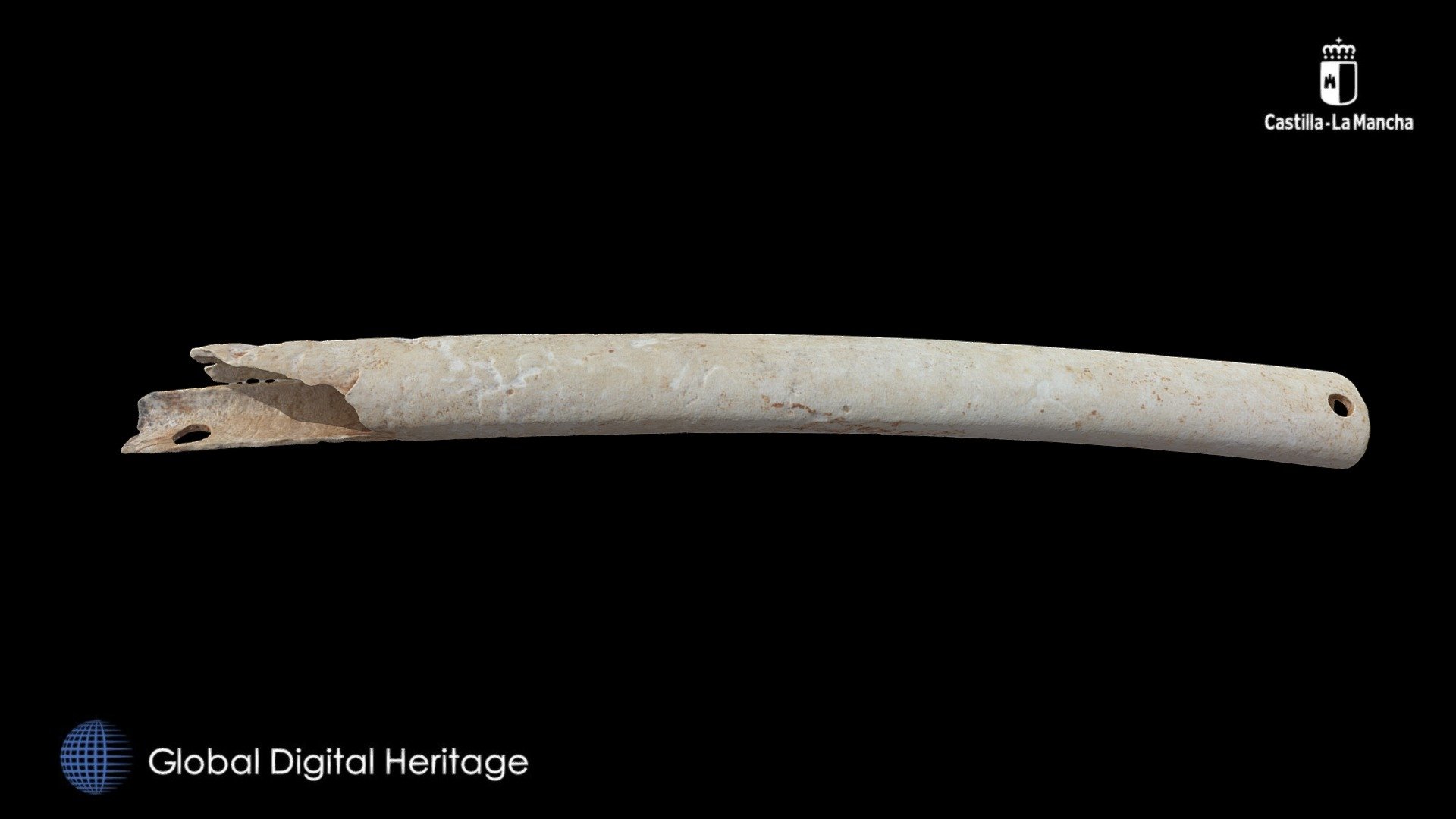 Possible bone pendant, Cerro de las Cabezas Download Free 3D model by