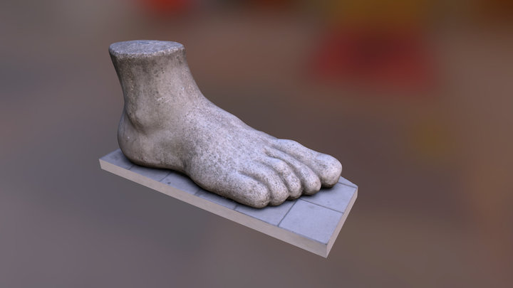 Op Foot 3D Model