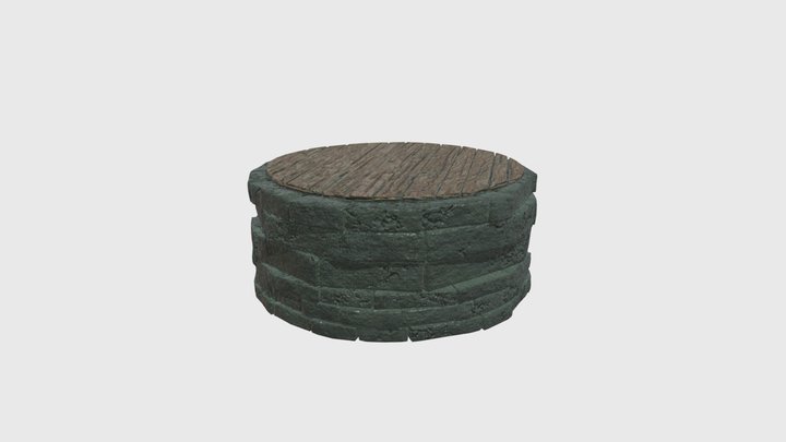 Well 3D Model