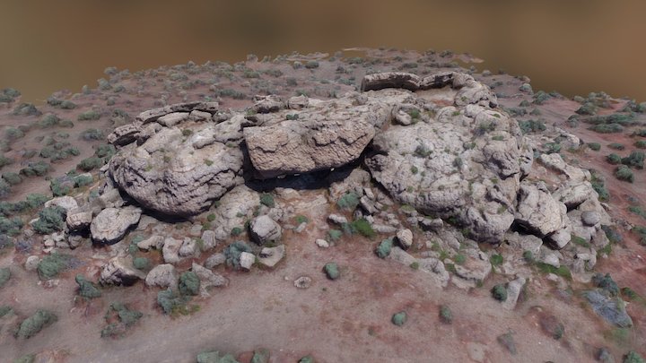 Spider Point - Pyramid Lake, Nevada 3D Model