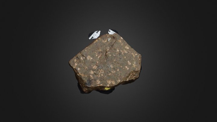 Rhyolite 3D Model