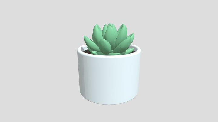 Succulent1 3D Model